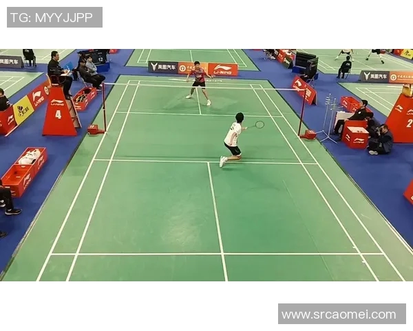 重庆羽毛球队整体压制现象分析及其对羽毛球发展的影响探讨