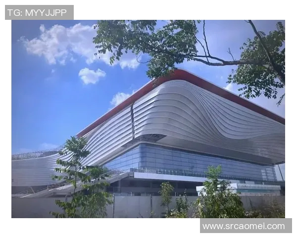 以体育馆为核心打造多功能综合体提升社区活力与居民生活质量