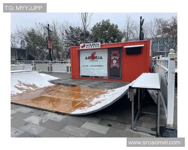 上海滑板队防反策略分析及其在比赛中的成效与不足之处探讨